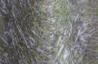 Hoghton Bottoms fibreglass roof work